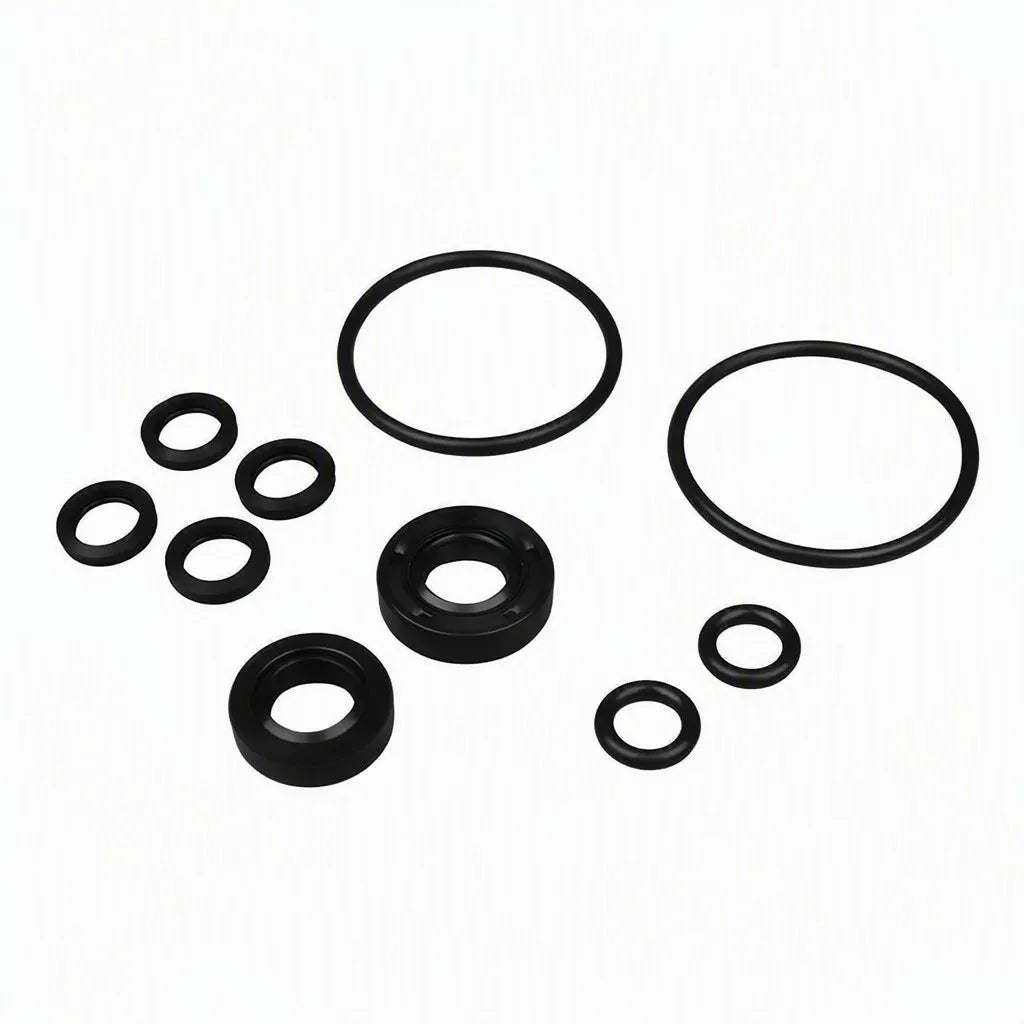 Pump O-Ring Kit Spx Stone (BH-7006-25)