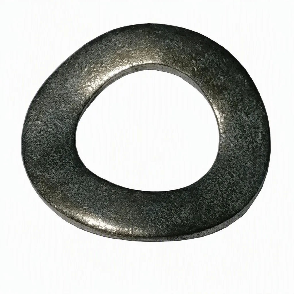 Coats Wave Washer - 5/16 (AM8181981)