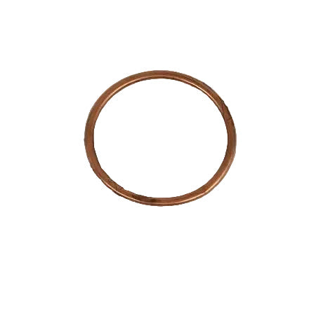 Low-Press Valve Gasket PL15 | Champion Pneumatic CQP14832A