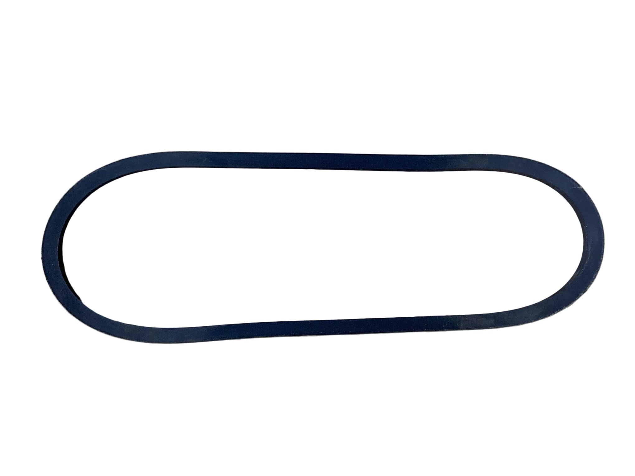 Belt (Coats 8181099)