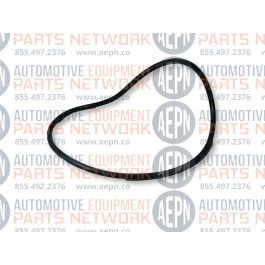 Coats O-Ring Seal, Large (2-244) - 8181713 (AM8181713) Featured Image